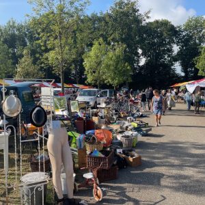 VLOOIENMARKT zeist - blikkenburg zondag 22 juni