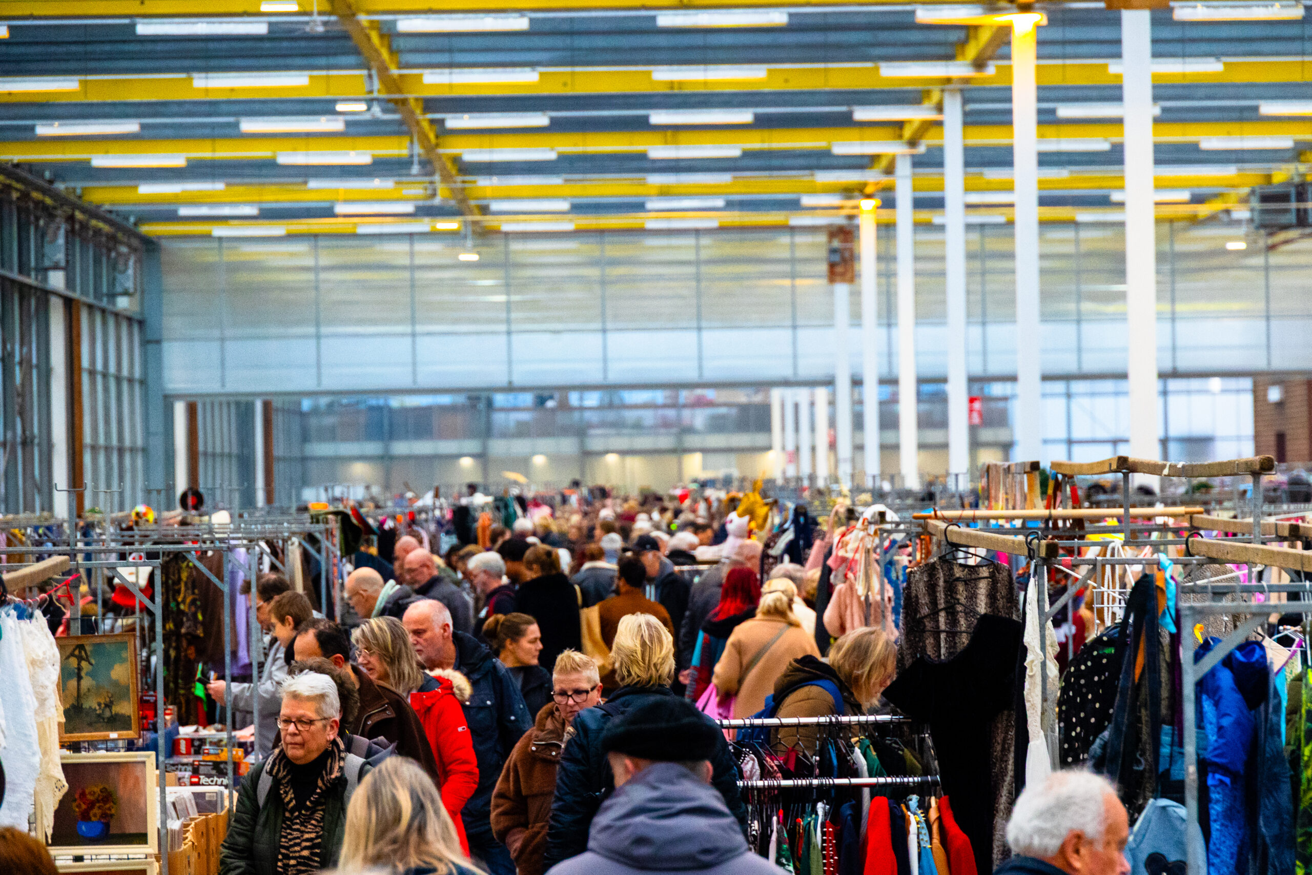 MEGA openlucht VLOOIENMARKT EXPO Greater Amsterdam zondag 21 juni - Afbeelding 2